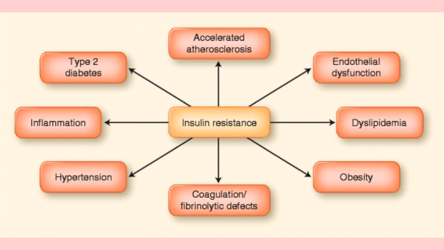 Insulin resistance is the main cause of chronic diseases